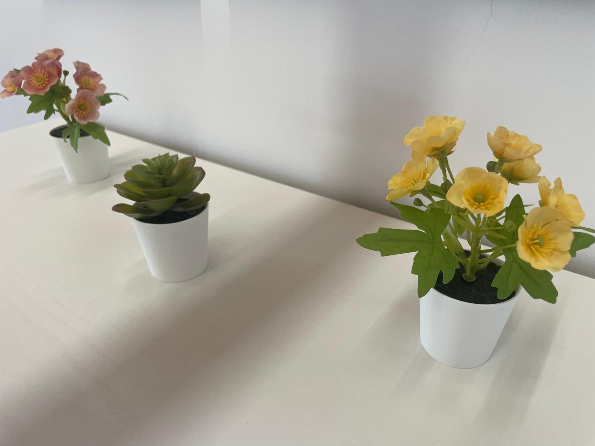 Annabella'S Home Agropoli Luaran gambar
